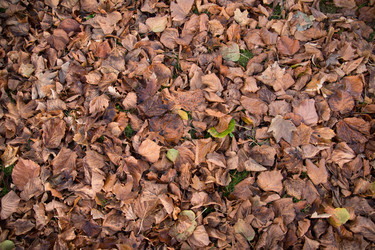 Similar image 21376763