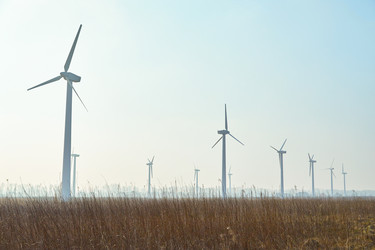 Similar image 21376769