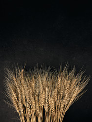 Similar image 21354811