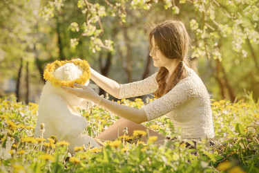 Similar image 21376326