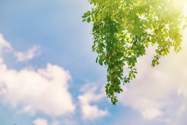 Similar image 21376211