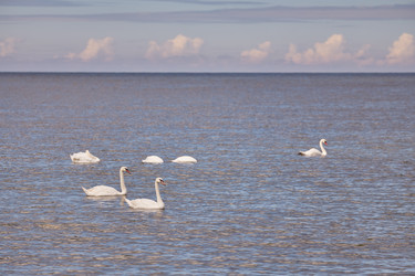 Similar image 21376217