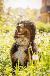 Similar image 21376563