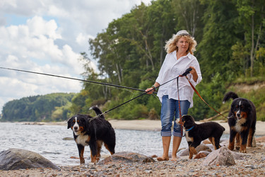 Similar image 21376880