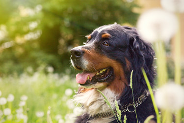 Similar image 21376902