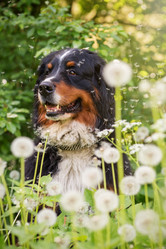 Similar image 21376906