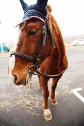 Similar image 21376359