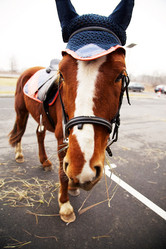 Similar image 21376360