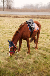 Similar image 21376378