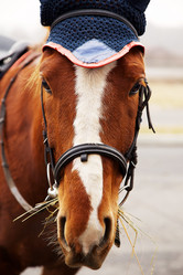 Similar image 21376387