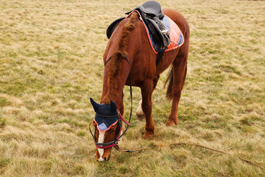 Similar image 21376389