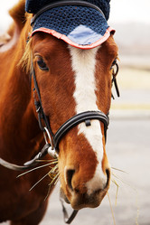 Similar image 21376569