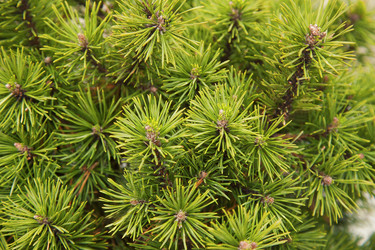 Similar image 21376571