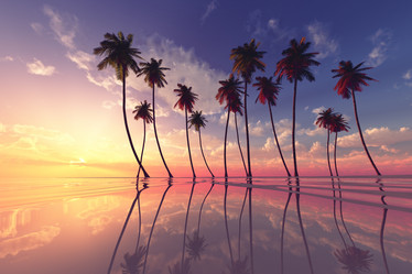 Similar image 21376907