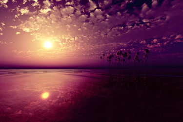 Similar image 21376910