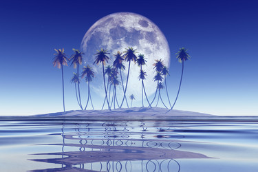 Similar image 21376914