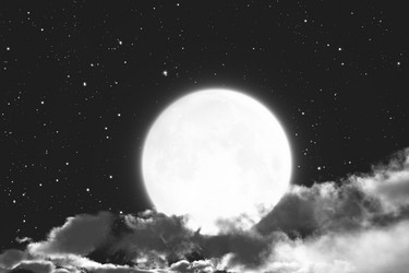 Similar image 21376917