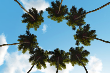 Similar image 21376920