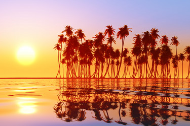 Similar image 21376926