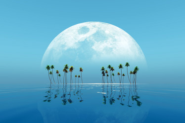 Similar image 21376581