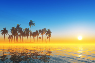 Similar image 21376592