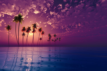 Similar image 21376956