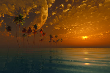 Similar image 21376958