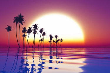 Similar image 21376961