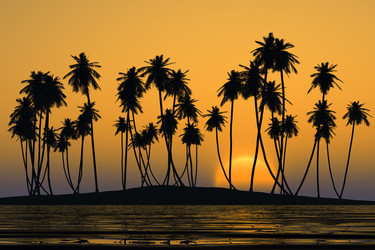 Similar image 21376976