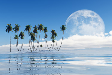 Similar image 21376980