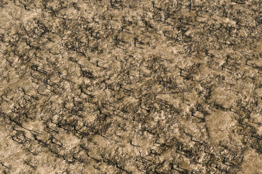 Similar image 21376401