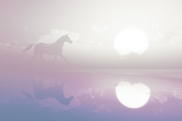 Similar image 21376404