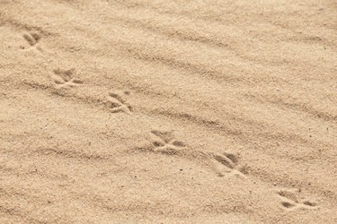 Similar image 21376423