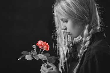 Similar image 21376992