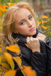 Similar image 21377535