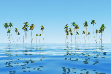 Similar image 21377552