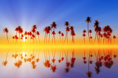 Similar image 21377554