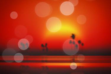 Similar image 21377559