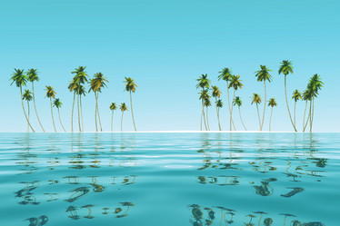 Similar image 21377561