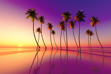 Similar image 21377088