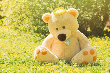 Similar image 21377626