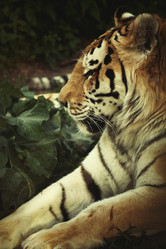 Similar image 21377504