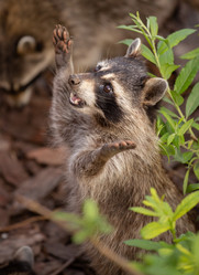 Similar image 21377730