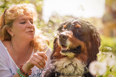 Similar image 21377250