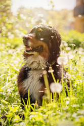 Similar image 21377272