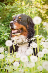 Similar image 21377279