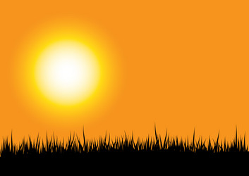 Similar image 21377290