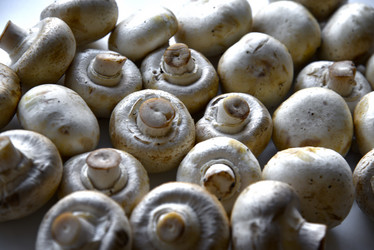 Similar image 21343487