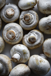 Similar image 21343490