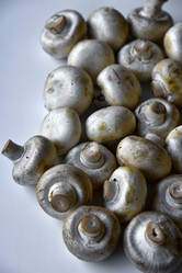 Similar image 21343494